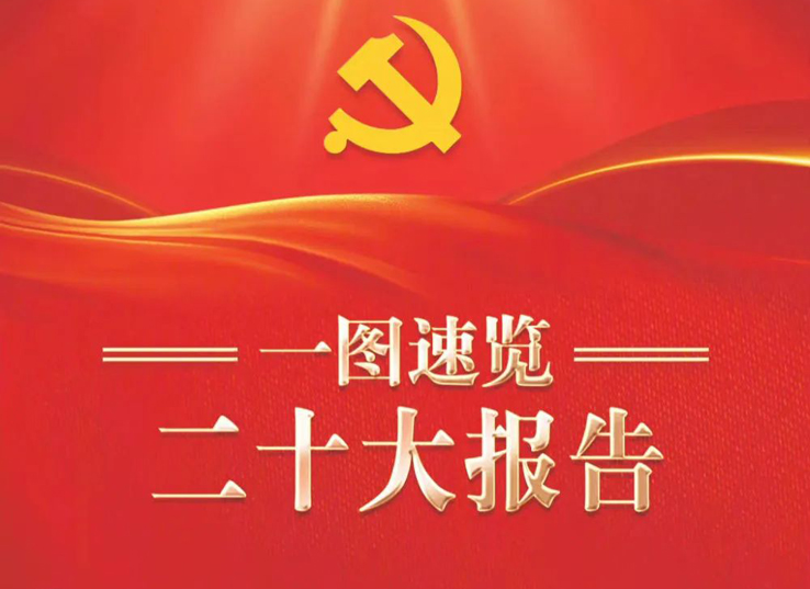 A Quick Look at the 20th National Congress Report